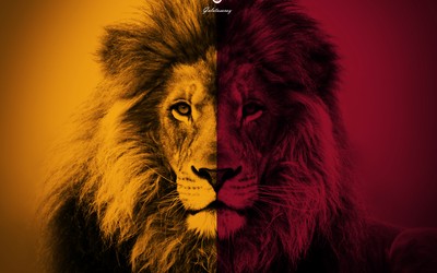 第一电竞热评-伊朗足球联赛外援天价转会破纪录