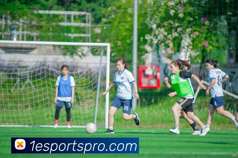 第一电竞专业版平台生态图